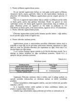 Biznesa plāns 'Biznesa plāns I/U “Čebureks”', 19.