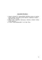 Biznesa plāns 'Biznesa plāns I/U “Čebureks”', 23.