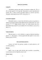 Konspekts 'Civilās aizsardzības plāns objektam SIA "Tet" Ludzā', 4.
