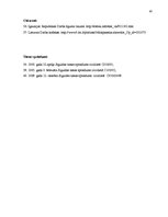 Diplomdarbs 'Darba tiesisko attiecību izbeigšanās problemātika', 67.