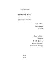 Referāts 'Panākumu cilvēks - Aina Korkla', 1.