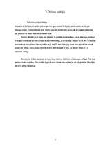 Referāts 'Panākumu cilvēks - Aina Korkla', 5.