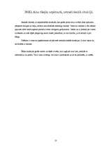 Referāts 'Panākumu cilvēks - Aina Korkla', 23.