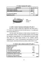 Referāts 'Zemnieku saimniecības "Kļavas" ražošanas plāns', 20.