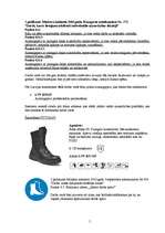 Referāts 'Darba aizsardzības pasākumu organizēšana darba vietā', 5.