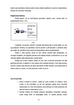 Diplomdarbs 'Aprūpes īpatnības pacientiem ar diagnozi - multiplā skleroze', 25.