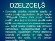 Prezentācija '19.gadsimta tehnoloģiju attīstība - transports', 10.
