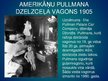 Prezentācija '19.gadsimta tehnoloģiju attīstība - transports', 25.