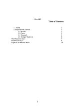 Prakses atskaite 'The Company "SDX"', 2.