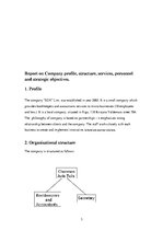 Prakses atskaite 'The Company "SDX"', 3.