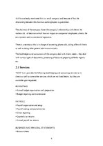 Prakses atskaite 'The Company "SDX"', 4.