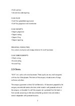 Prakses atskaite 'The Company "SDX"', 5.