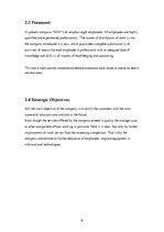 Prakses atskaite 'The Company "SDX"', 6.