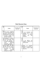 Prakses atskaite 'The Company "SDX"', 7.