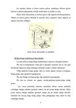 Referāts 'Audi 80 B4 2.0i motora galveno sastāvdaļu remonts', 8.