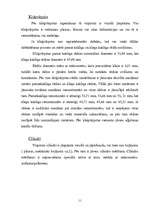 Referāts 'Audi 80 B4 2.0i motora galveno sastāvdaļu remonts', 11.