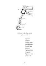 Referāts 'Audi 80 B4 2.0i motora galveno sastāvdaļu remonts', 19.