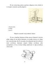 Referāts 'Audi 80 B4 2.0i motora galveno sastāvdaļu remonts', 23.