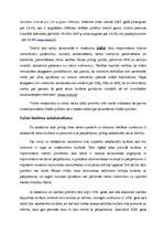 Referāts 'Likumi fiskālai politikai', 9.