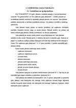 Prakses atskaite 'Prakses pārskats - SIA "Auditoru firma "Finansists""', 11.