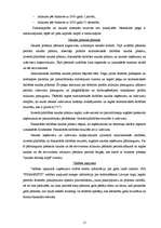 Prakses atskaite 'Prakses pārskats - SIA "Auditoru firma "Finansists""', 15.