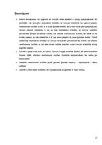 Referāts 'Sabiedrības viedokļi par ģimeni mūsu valstī', 22.