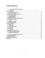 Biznesa plāns 'Biznesa plāns', 2.