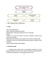 Biznesa plāns 'Biznesa plāns', 10.