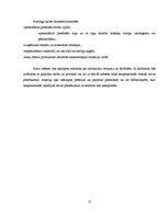 Biznesa plāns 'Biznesa plāns', 12.