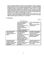 Biznesa plāns 'Biznesa plāns', 17.