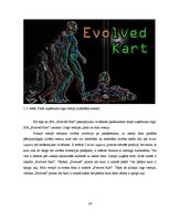 Biznesa plāns 'Biznesa plāns', 24.