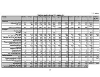 Biznesa plāns 'Biznesa plāns', 39.