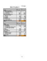 Biznesa plāns 'Biznesa plāns', 52.