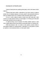 Biznesa plāns 'Biznesa plāns', 56.