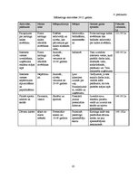 Biznesa plāns 'Biznesa plāns', 65.