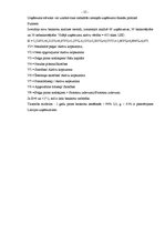 Diplomdarbs 'SIA "Progress" finanšu analīze', 27.