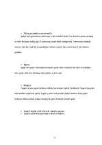 Referāts 'Japāna', 11.