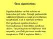 Prezentācija 'Šūnu signālsistēma', 6.
