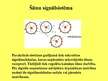 Prezentācija 'Šūnu signālsistēma', 9.