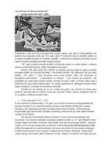 Referāts 'Krusta kari', 3.