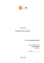 Konspekts 'Profesionāla tēla veidošana', 1.