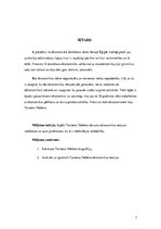 Referāts 'Torstena Veblena devums ekonomikas teorijas veidošanā', 3.