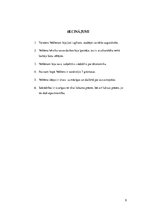 Referāts 'Torstena Veblena devums ekonomikas teorijas veidošanā', 9.