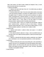 Biznesa plāns 'Biznesa plāns', 3.