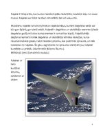 Konspekts 'Reaktīvā kustība un reaktīvie dzinēji', 5.