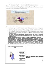 Referāts 'Uzņēmumu iekšējā komunikācija', 13.