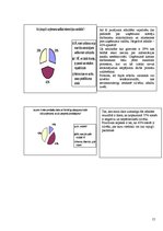 Referāts 'Uzņēmumu iekšējā komunikācija', 15.