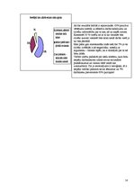 Referāts 'Uzņēmumu iekšējā komunikācija', 16.