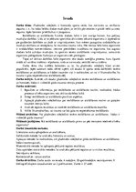 Referāts 'Iesildīšanās un atsildīšanās nozīme pludmales volejbolā', 6.