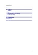 Referāts 'Neologismen und ihr stilistischer Effekt in Werbetexten', 2.